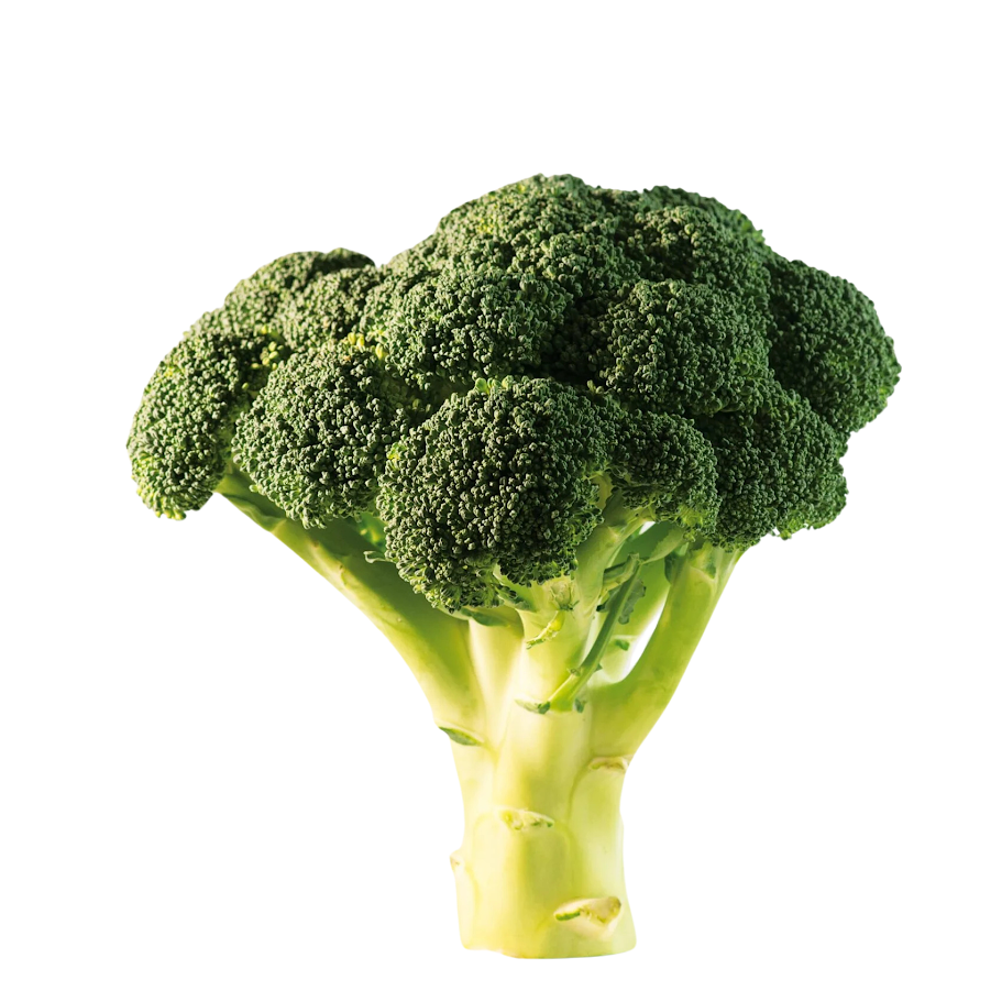 Broccolo