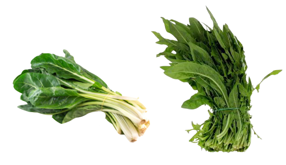 Bieta e Cicoria (mazzo)