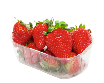 Fragole