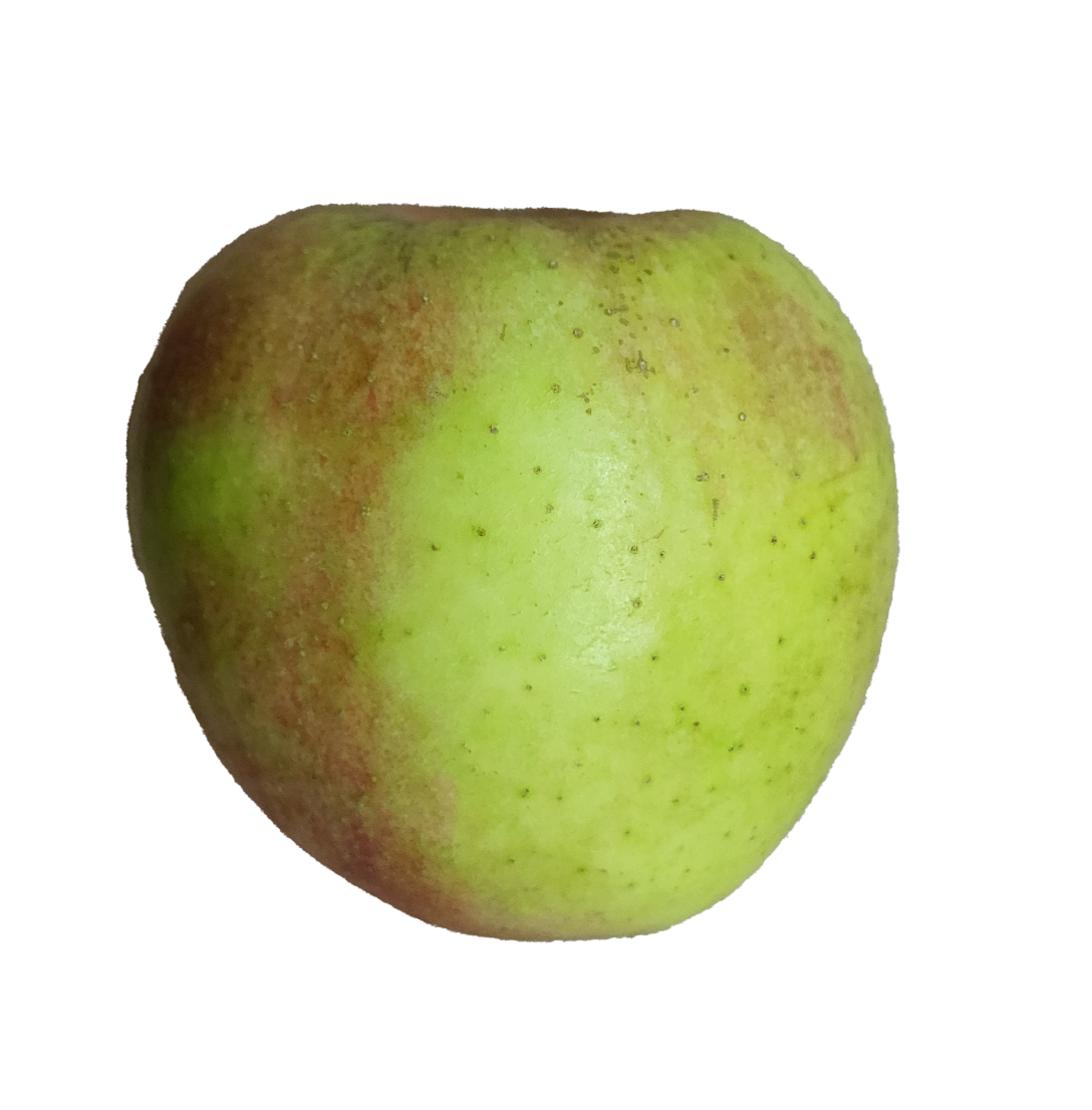 Mele