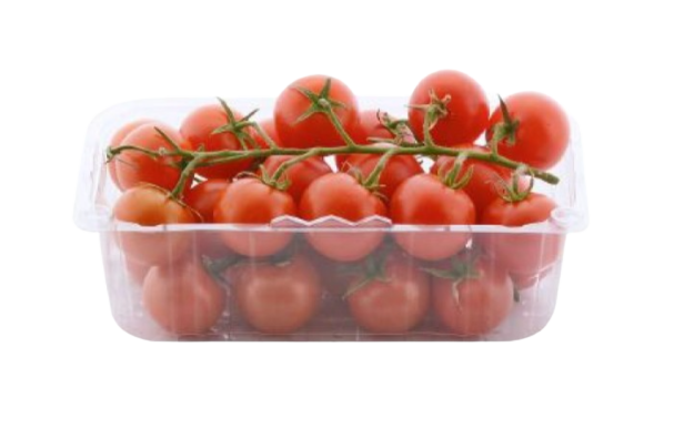 Pomodorini