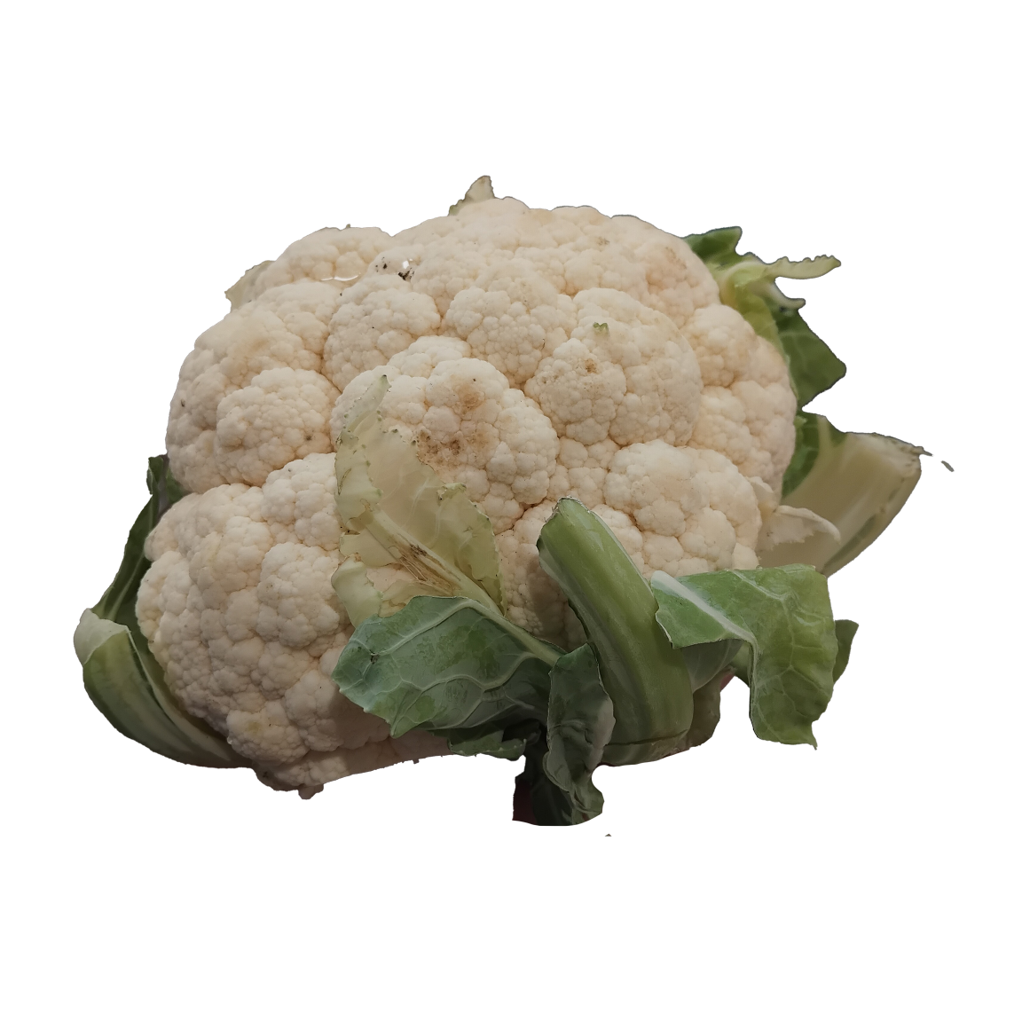 Cavolfiore