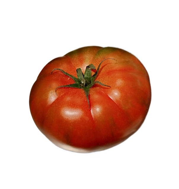 Pomodori da insalata