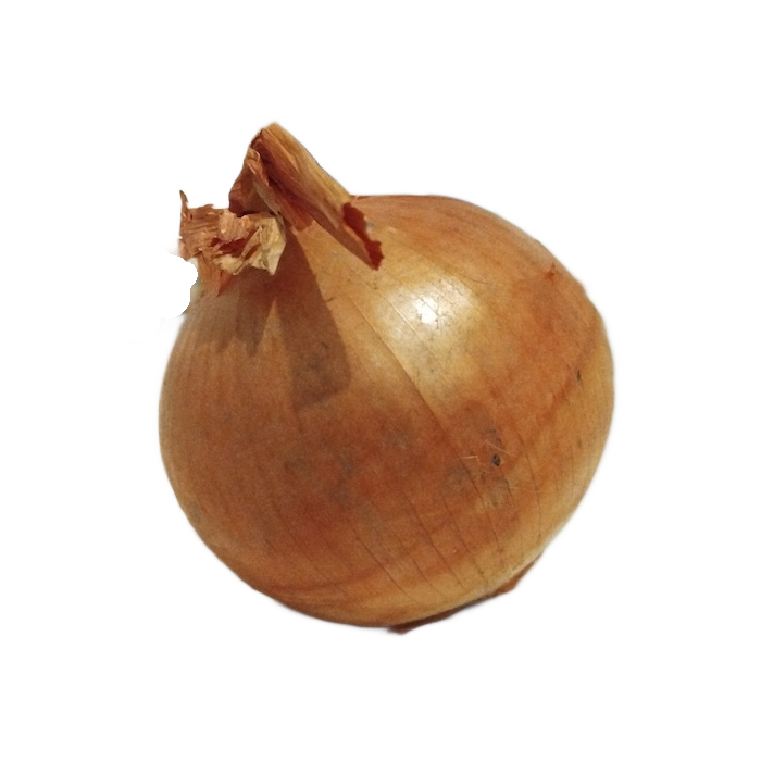 Cipolle